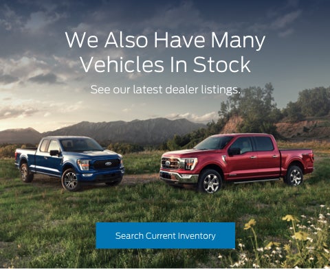 Ford vehicles in stock | Beck Ford in Palatka FL
